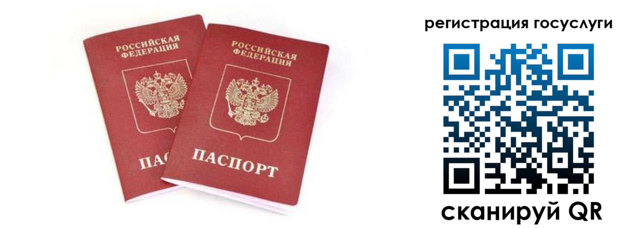 прописка в квартире в Волхове